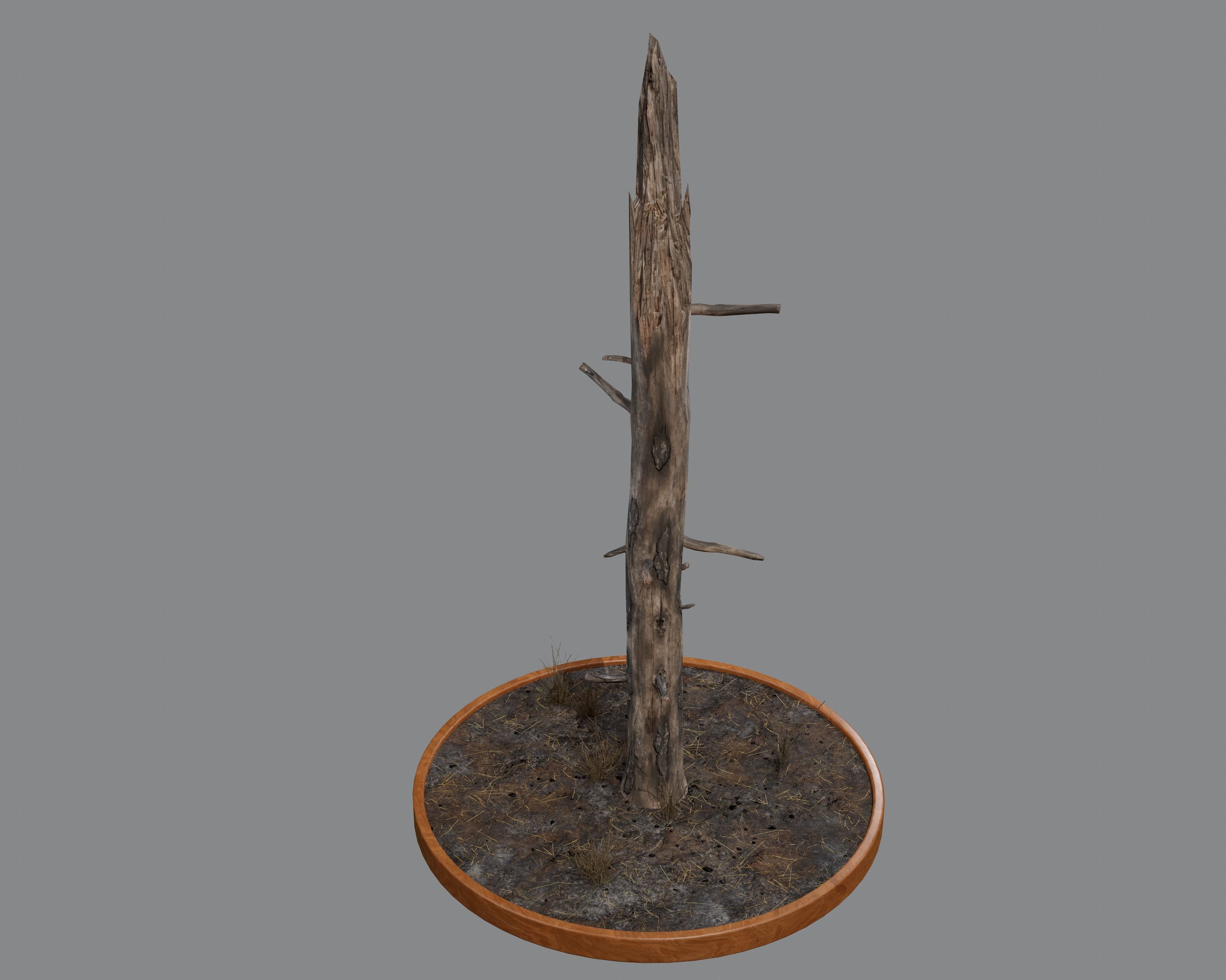 Nature Assets - Burnt Trees Low-poly 3D model_5