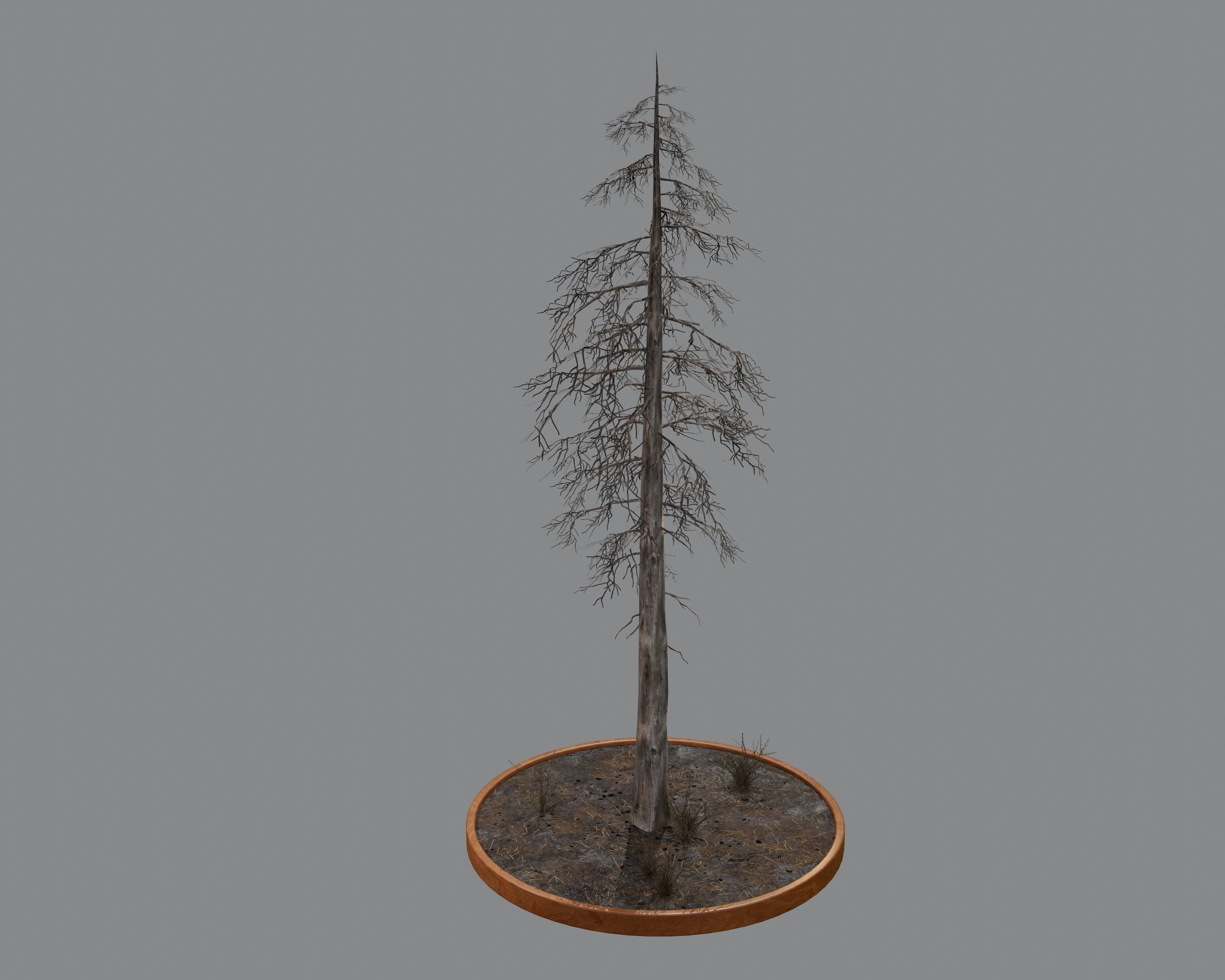 Nature Assets - Burnt Trees Low-poly 3D model_20