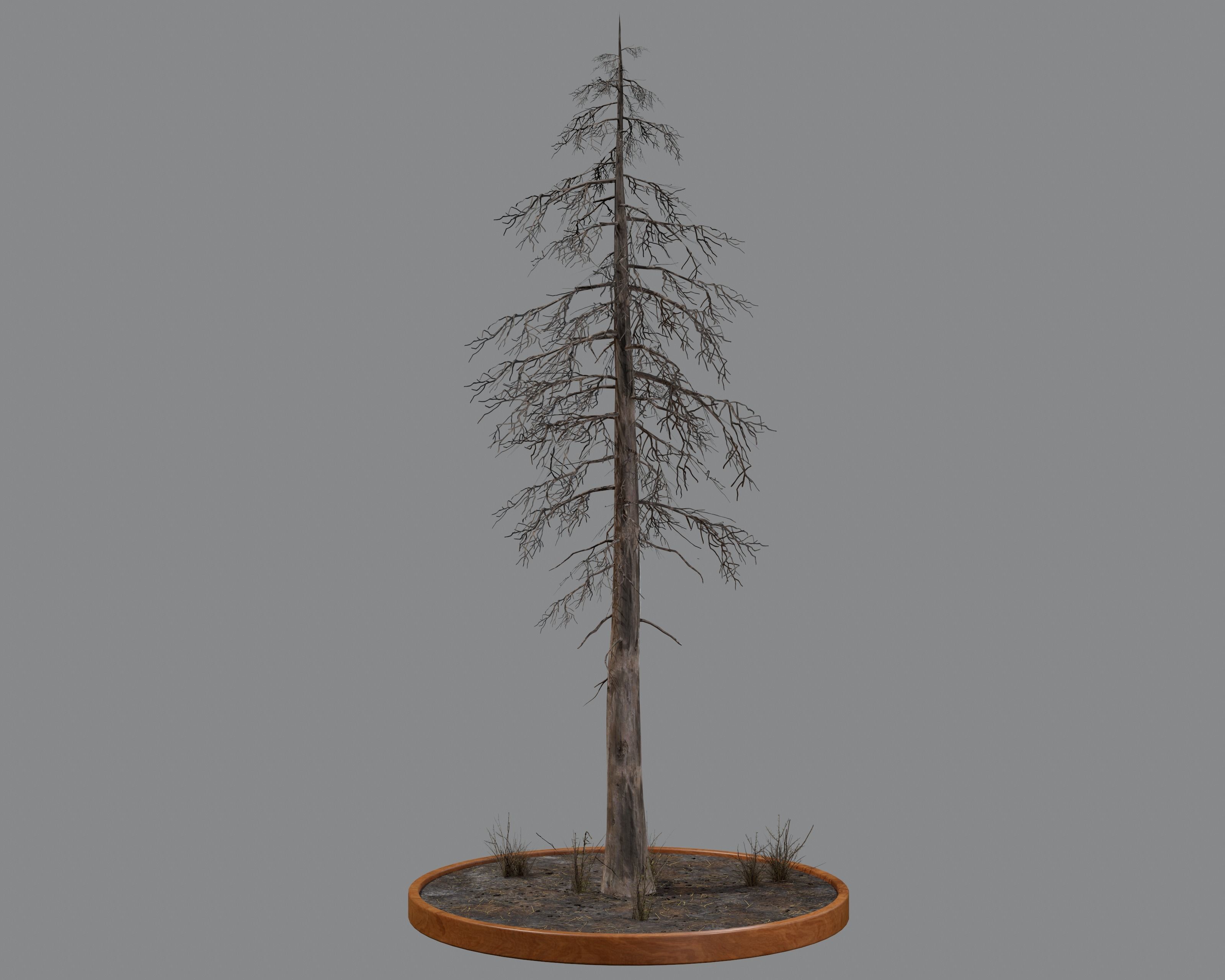 Nature Assets - Burnt Trees Low-poly 3D model_24