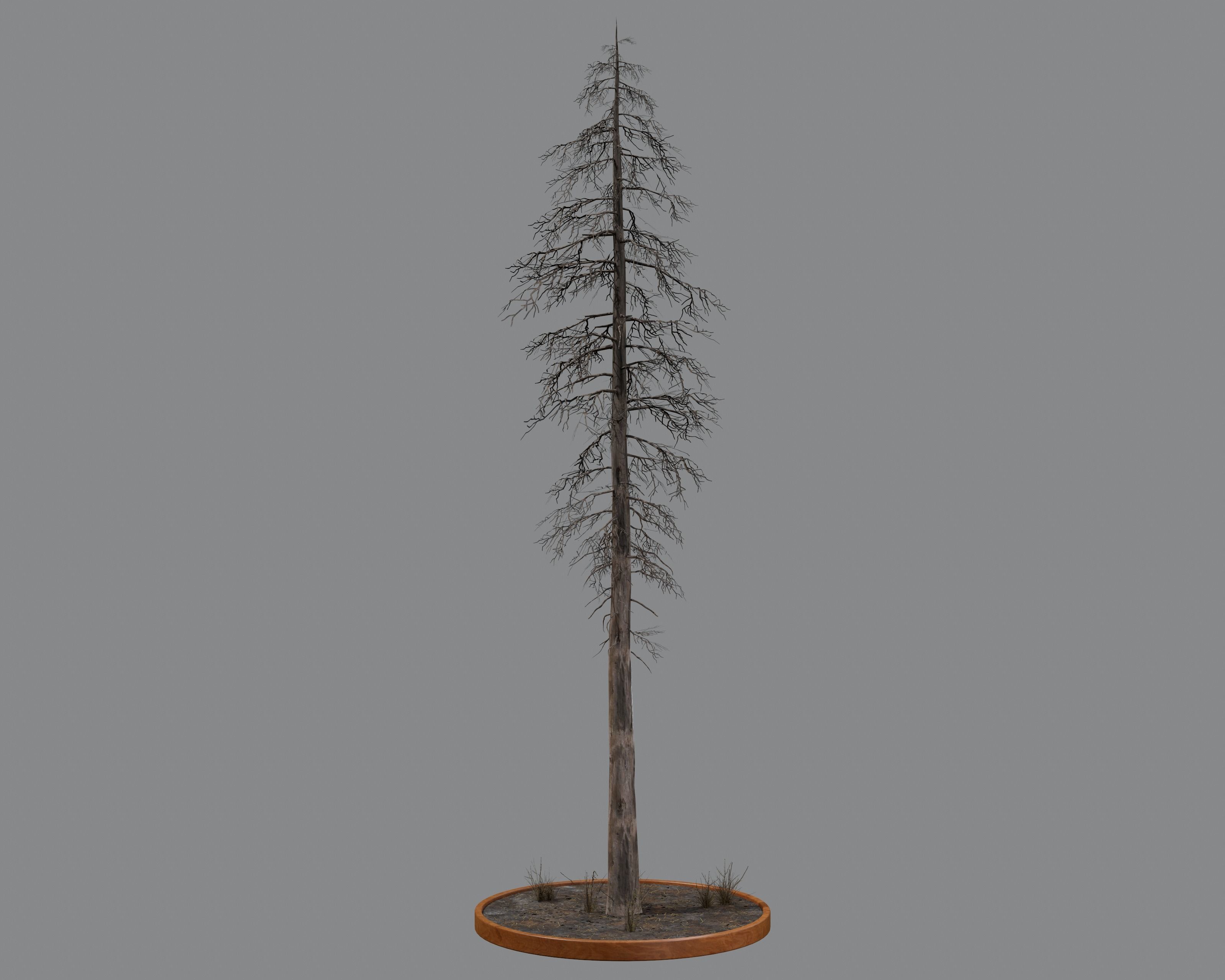 Nature Assets - Burnt Trees Low-poly 3D model_25