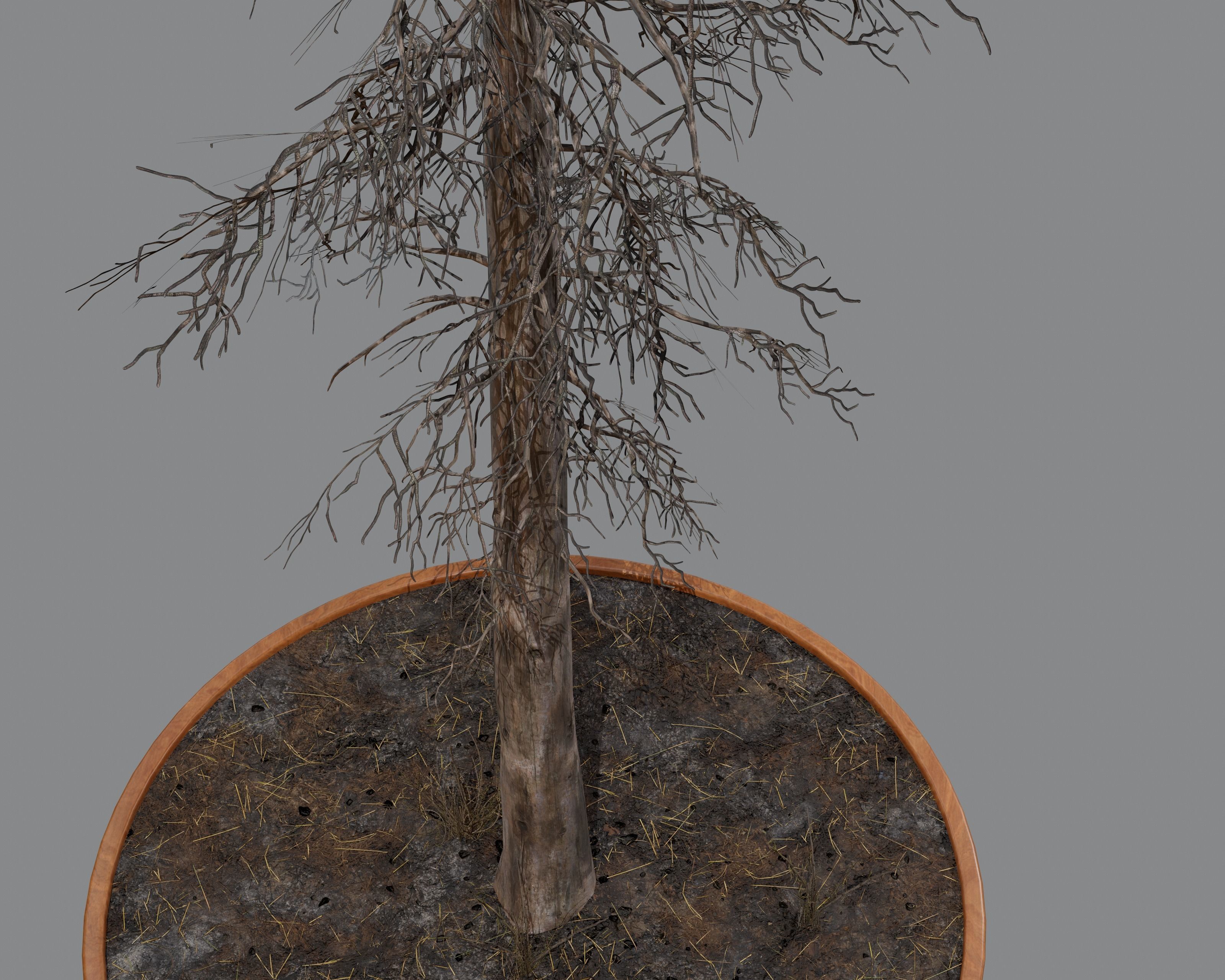 Nature Assets - Burnt Trees Low-poly 3D model_26
