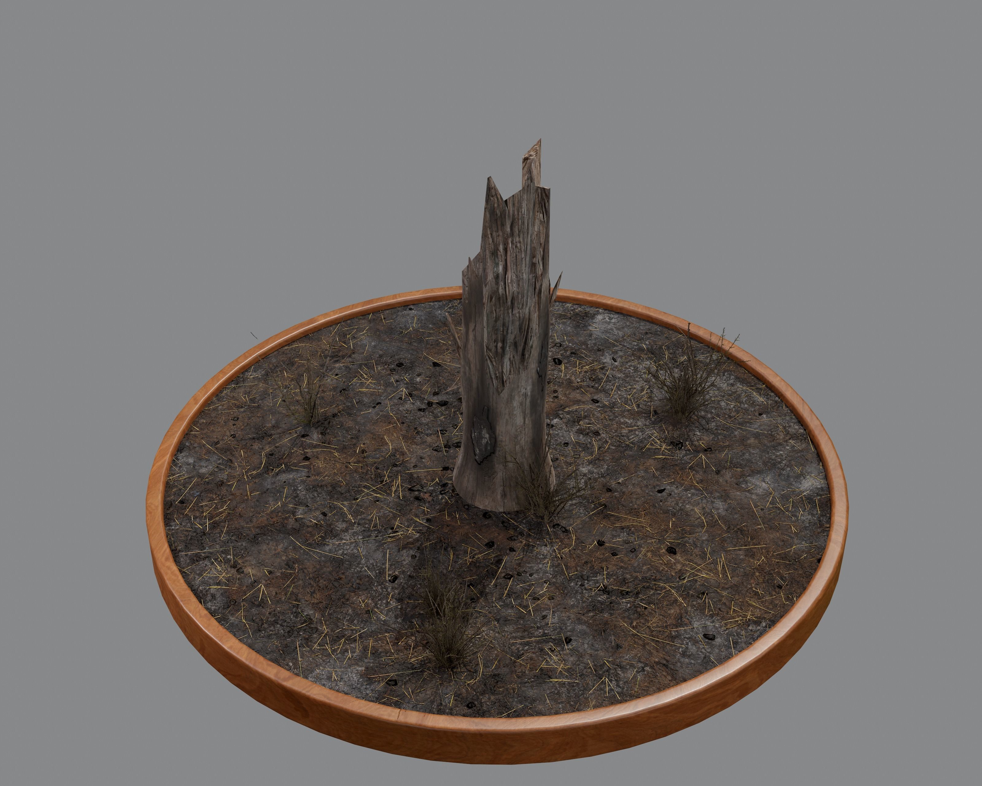 Nature Assets - Burnt Trees Low-poly 3D model_14