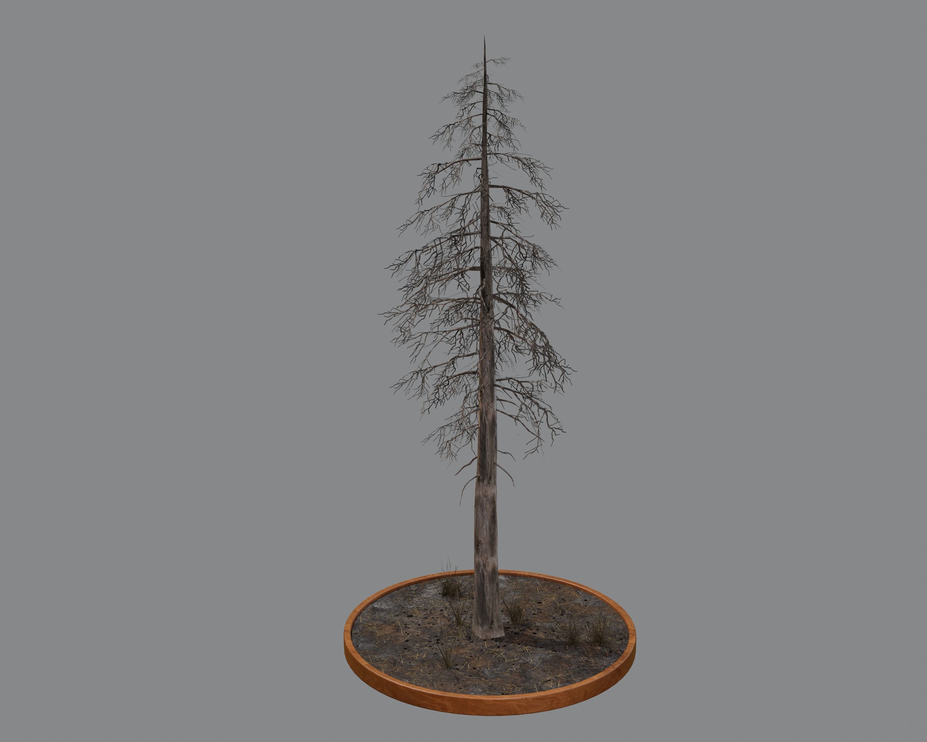 Nature Assets - Burnt Trees Low-poly 3D model_19
