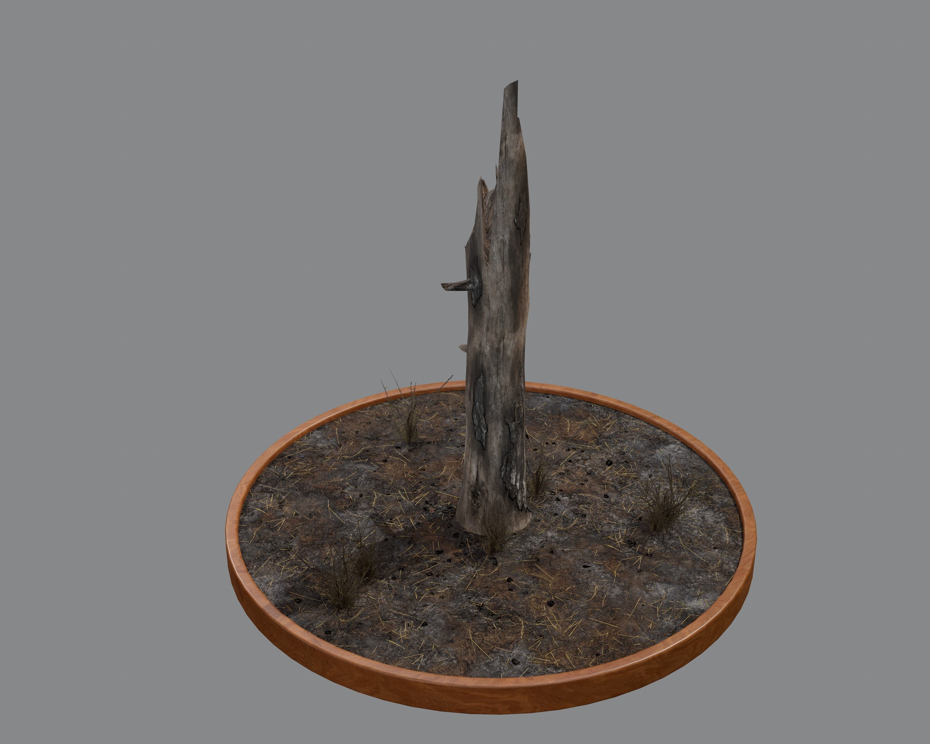 Nature Assets - Burnt Trees Low-poly 3D model_9