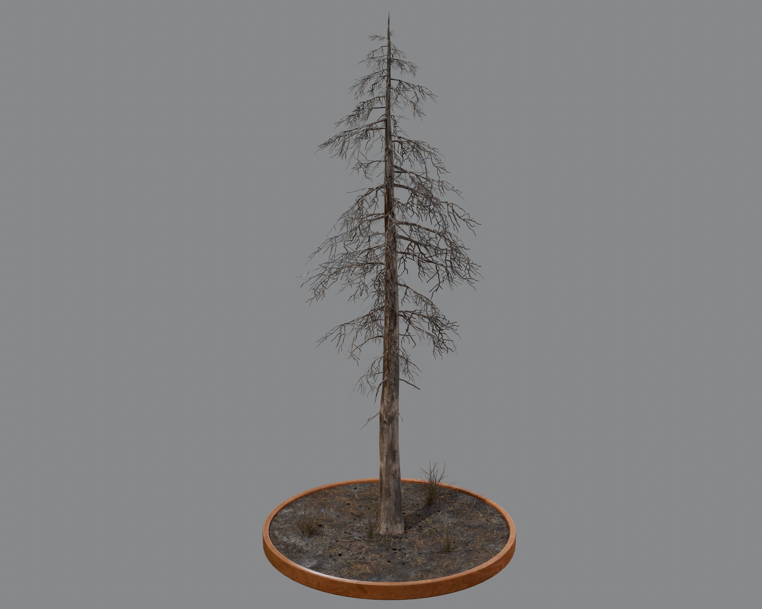 Nature Assets - Burnt Trees Low-poly 3D model_18