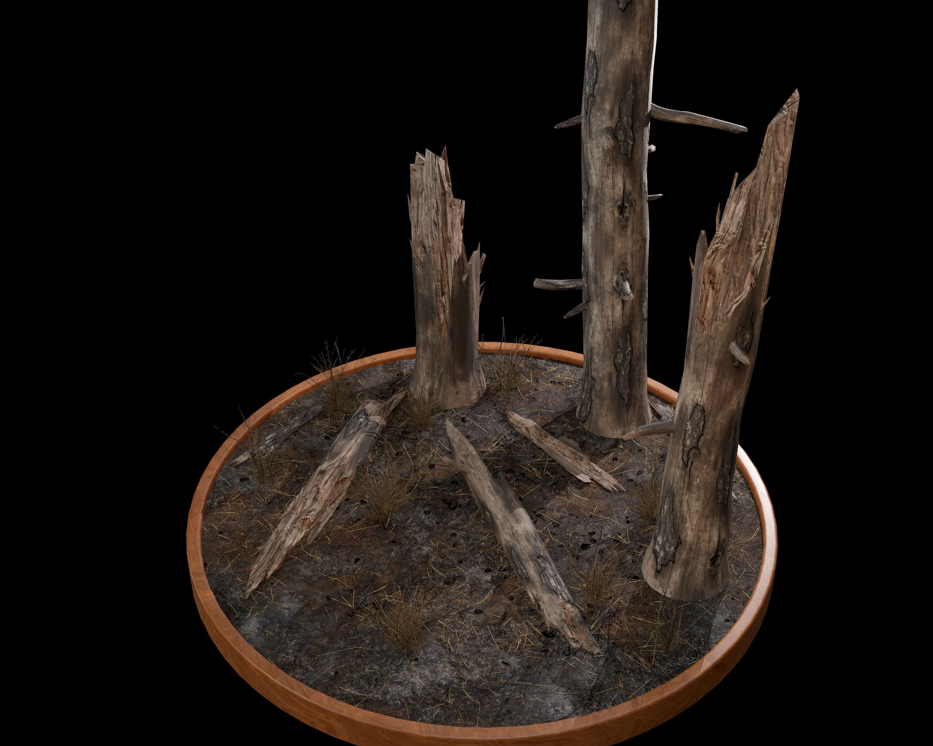 Nature Assets - Burnt Trees Low-poly 3D model_2