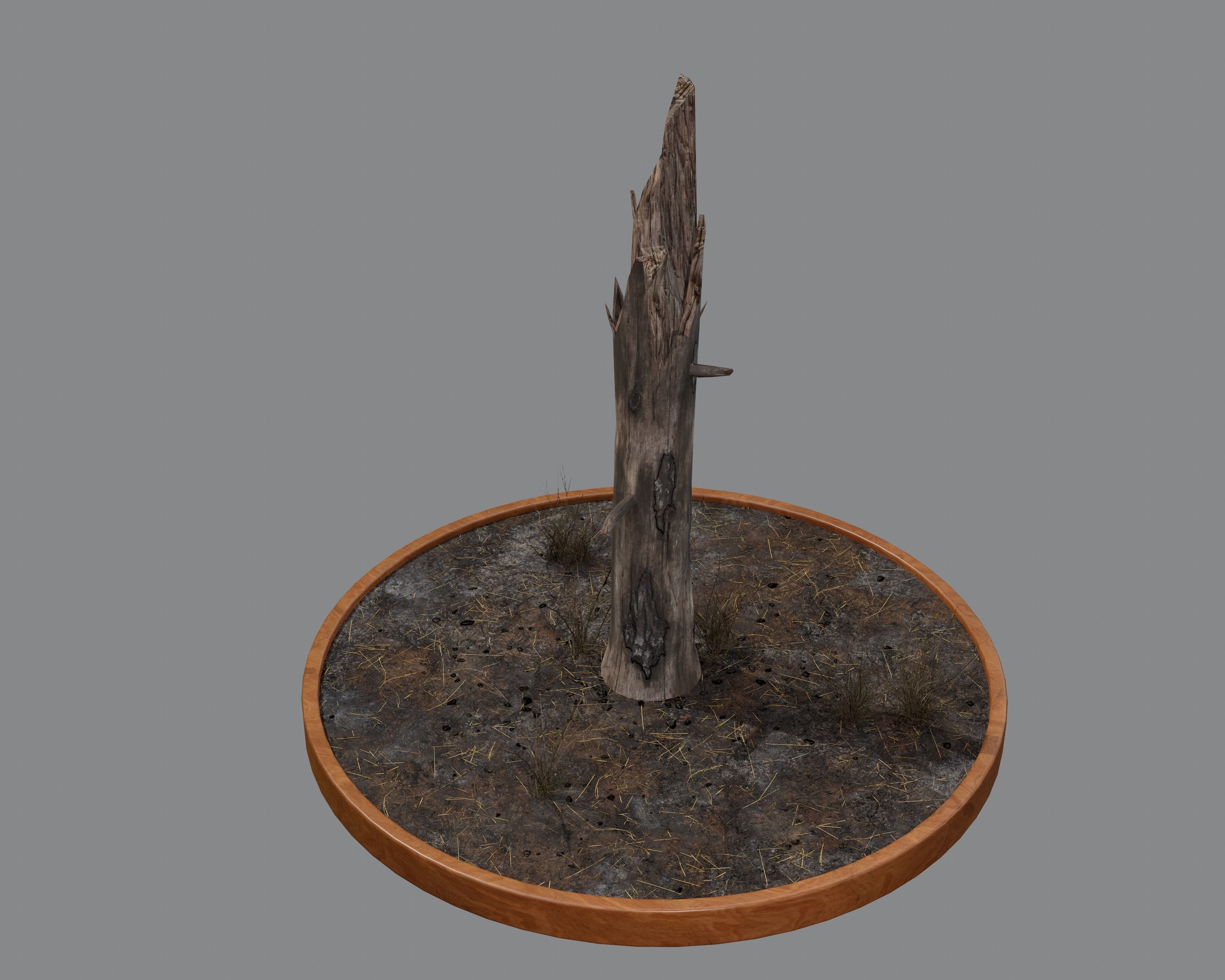 Nature Assets - Burnt Trees Low-poly 3D model_11