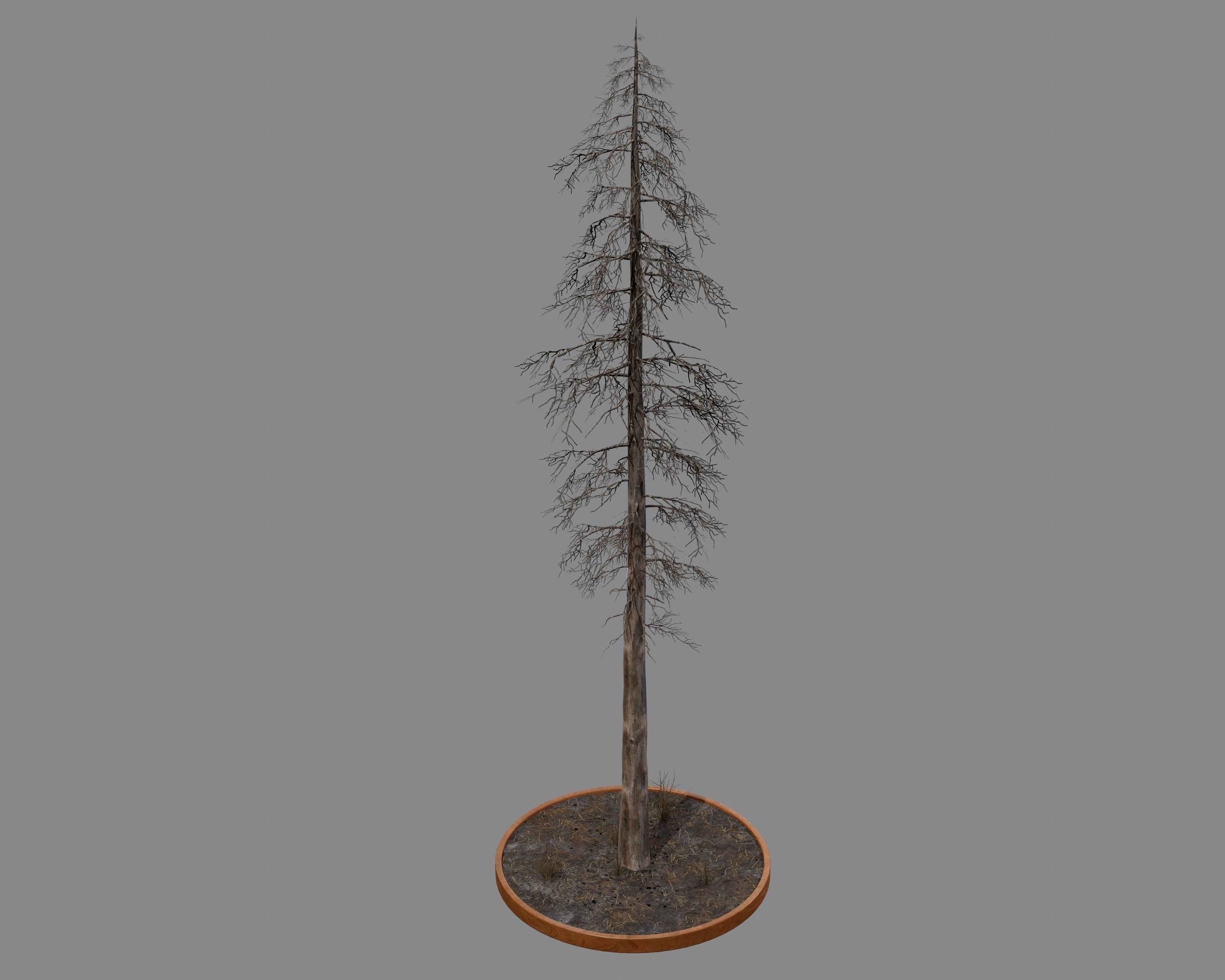 Nature Assets - Burnt Trees Low-poly 3D model_23