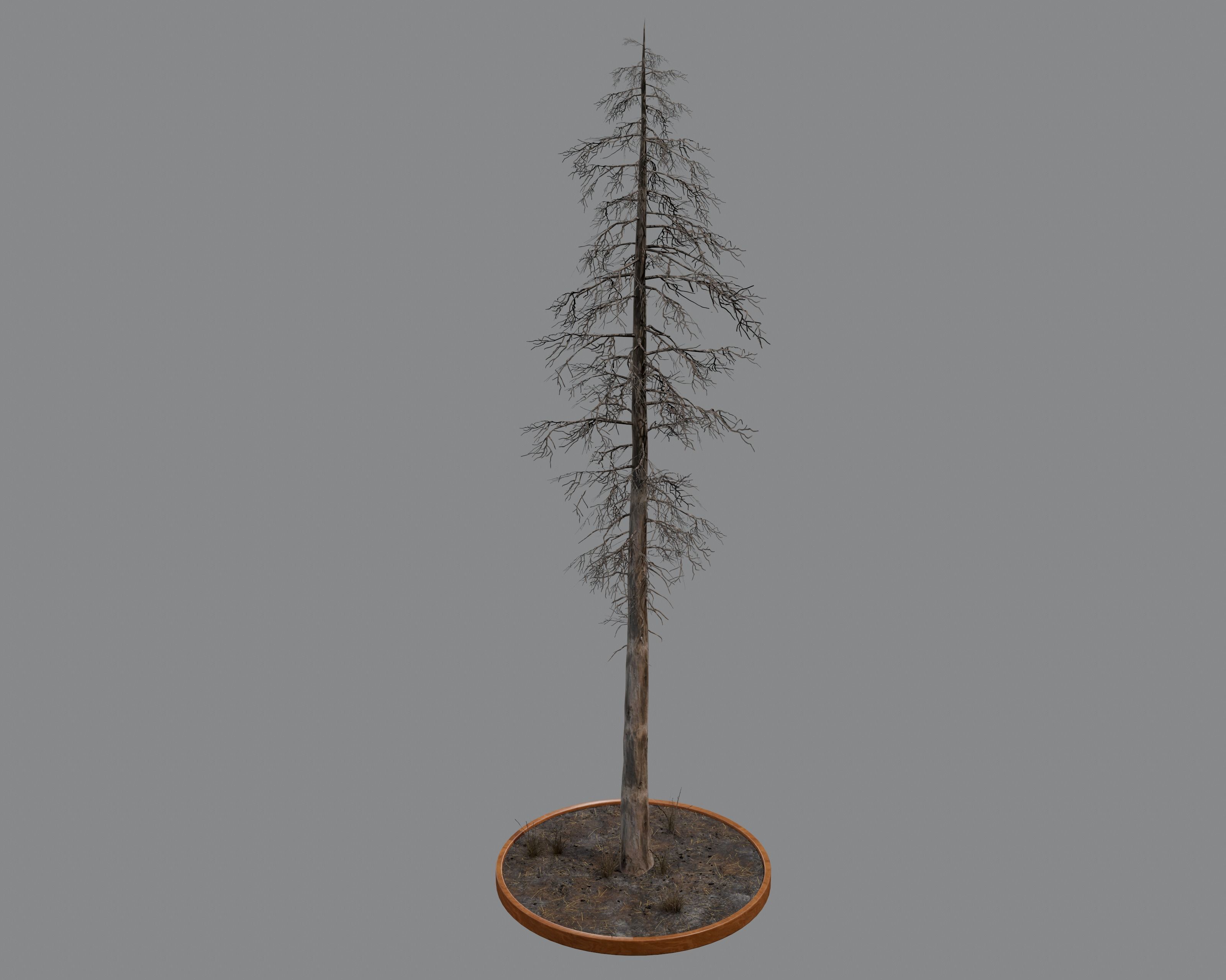 Nature Assets - Burnt Trees Low-poly 3D model_22