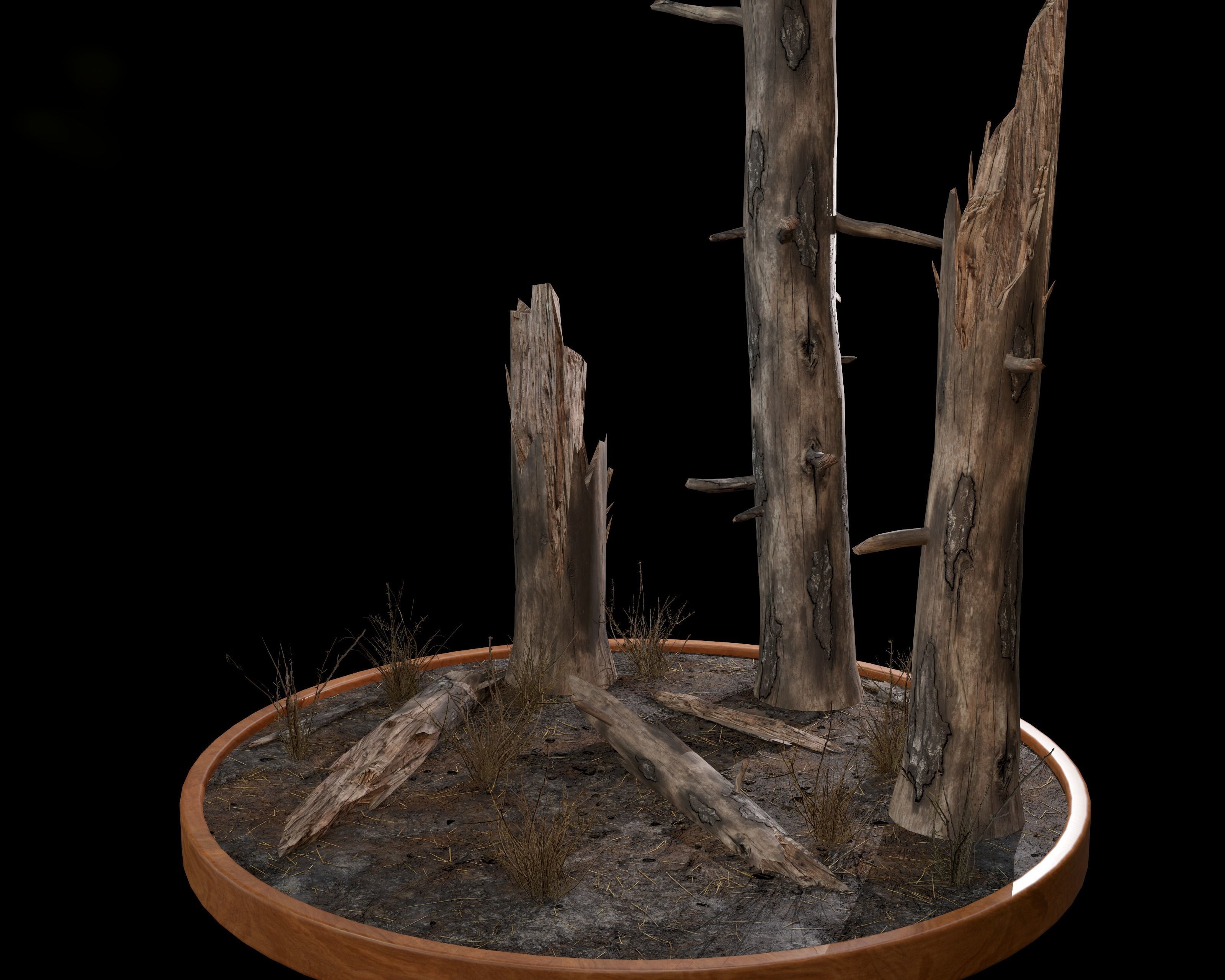 Nature Assets - Burnt Trees Low-poly 3D model_1