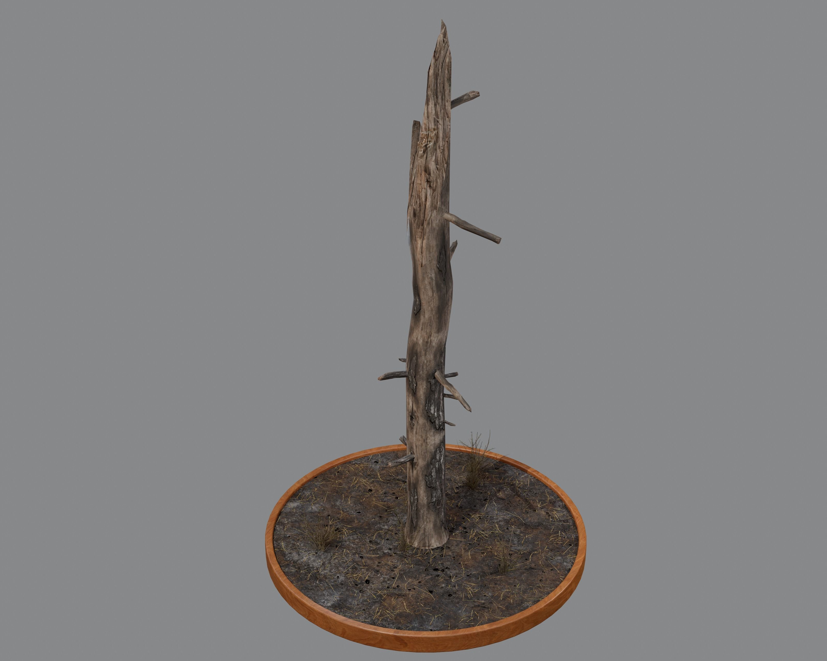 Nature Assets - Burnt Trees Low-poly 3D model_7