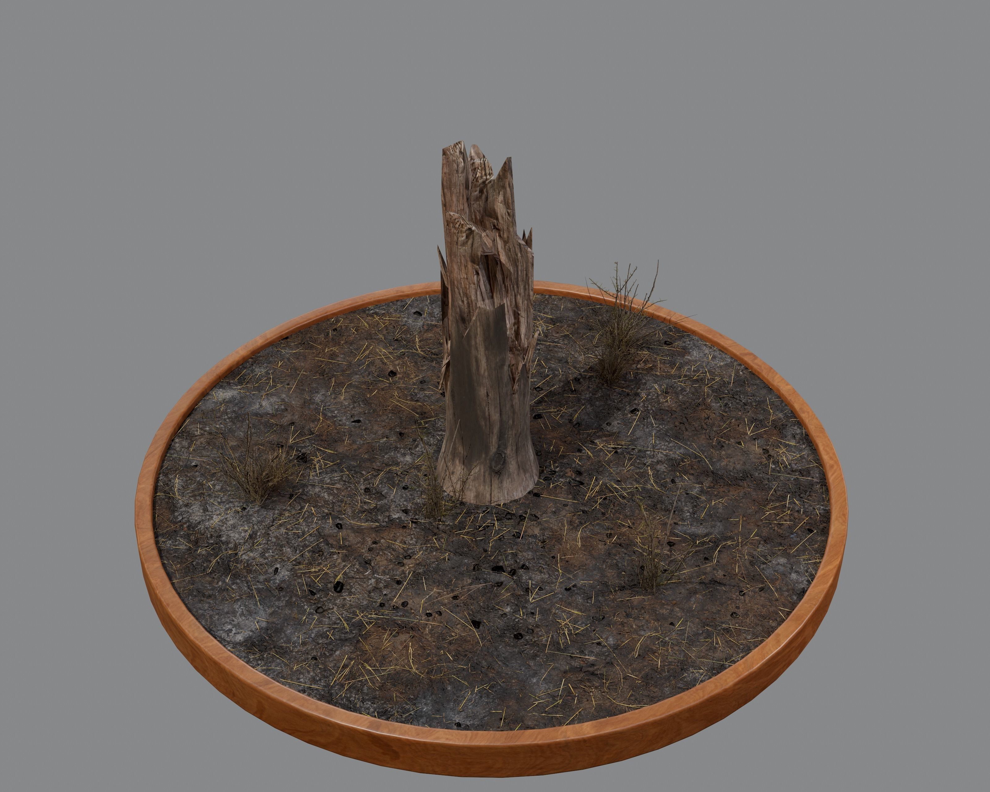 Nature Assets - Burnt Trees Low-poly 3D model_16