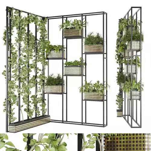 Collection plant vol 80