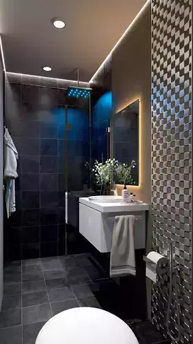 Modern Dark Luxury Bathroom Interior 3D Model