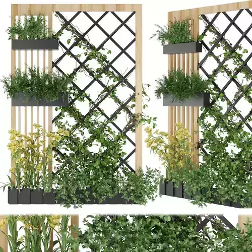 Collection plant vol 81 3D model