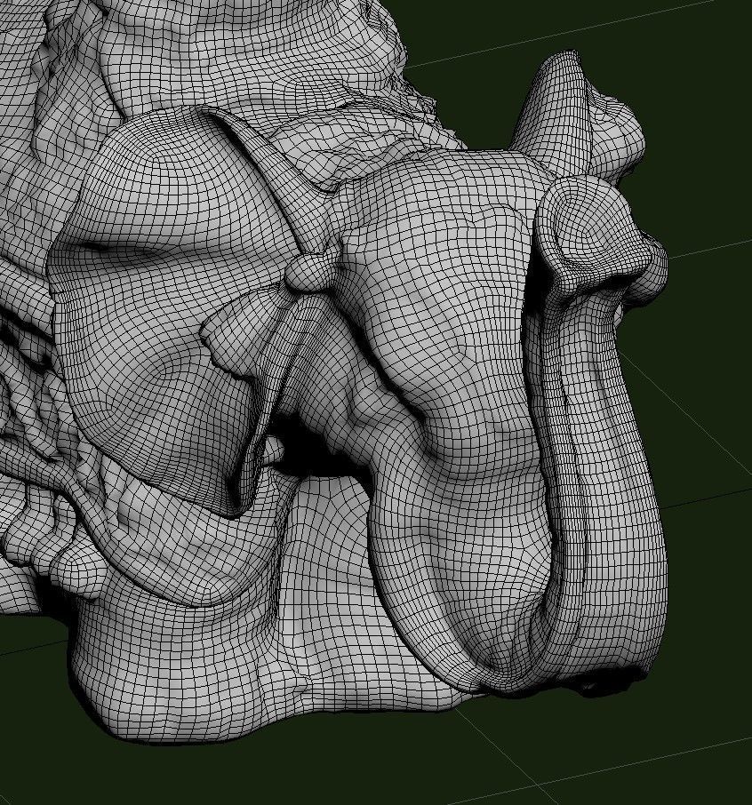 Indian Elephant Low-poly 3D model_31