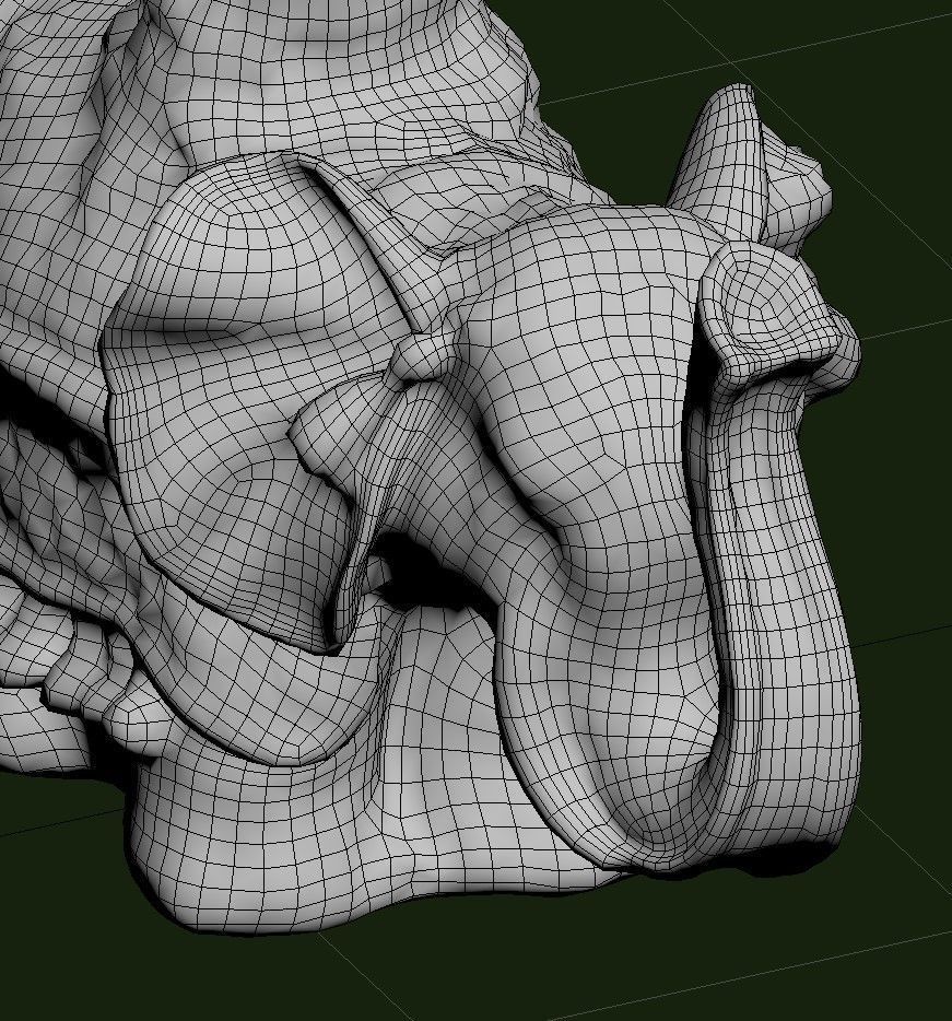 Indian Elephant Low-poly 3D model_32