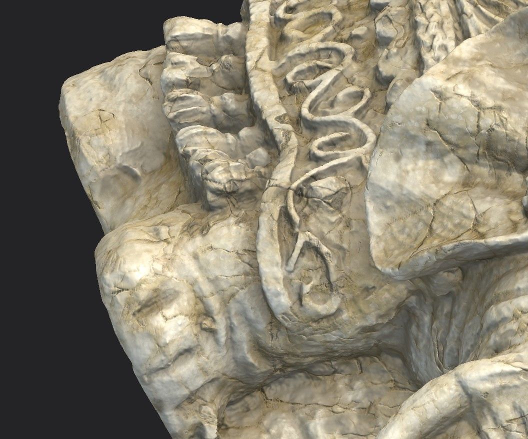 Indian Elephant Low-poly 3D model_18