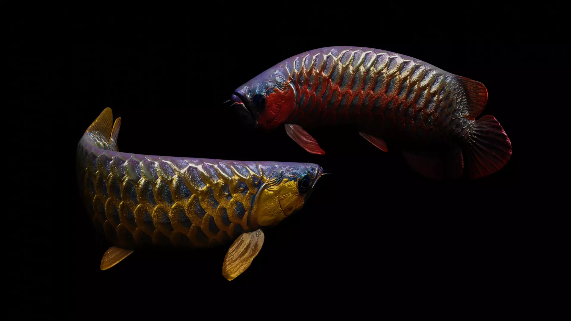 Arowana dragon fish Low-poly 3D model_0