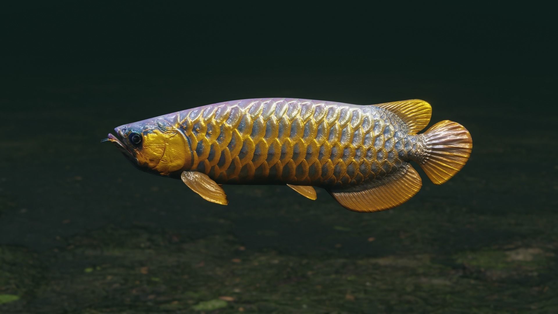 Arowana dragon fish Low-poly 3D model_36