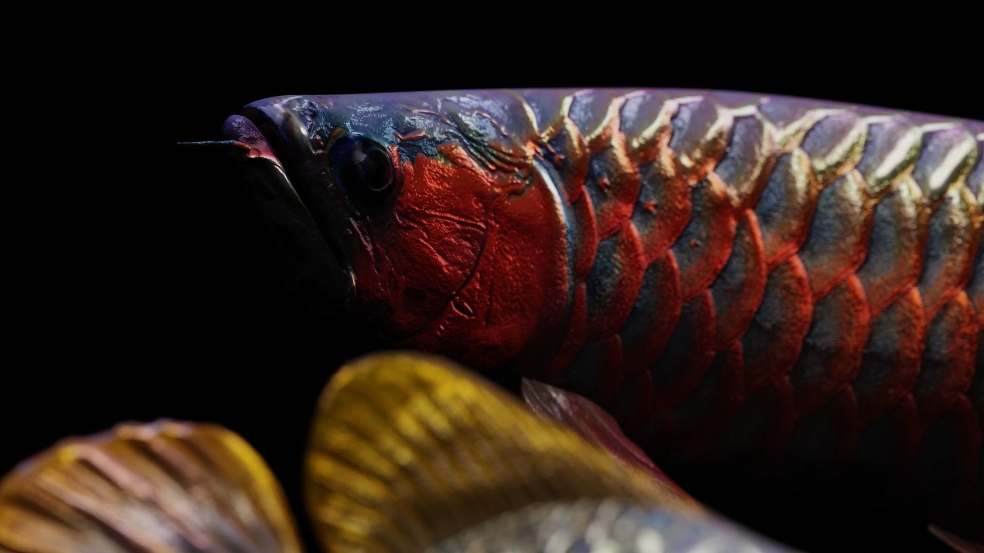 Arowana dragon fish Low-poly 3D model_4