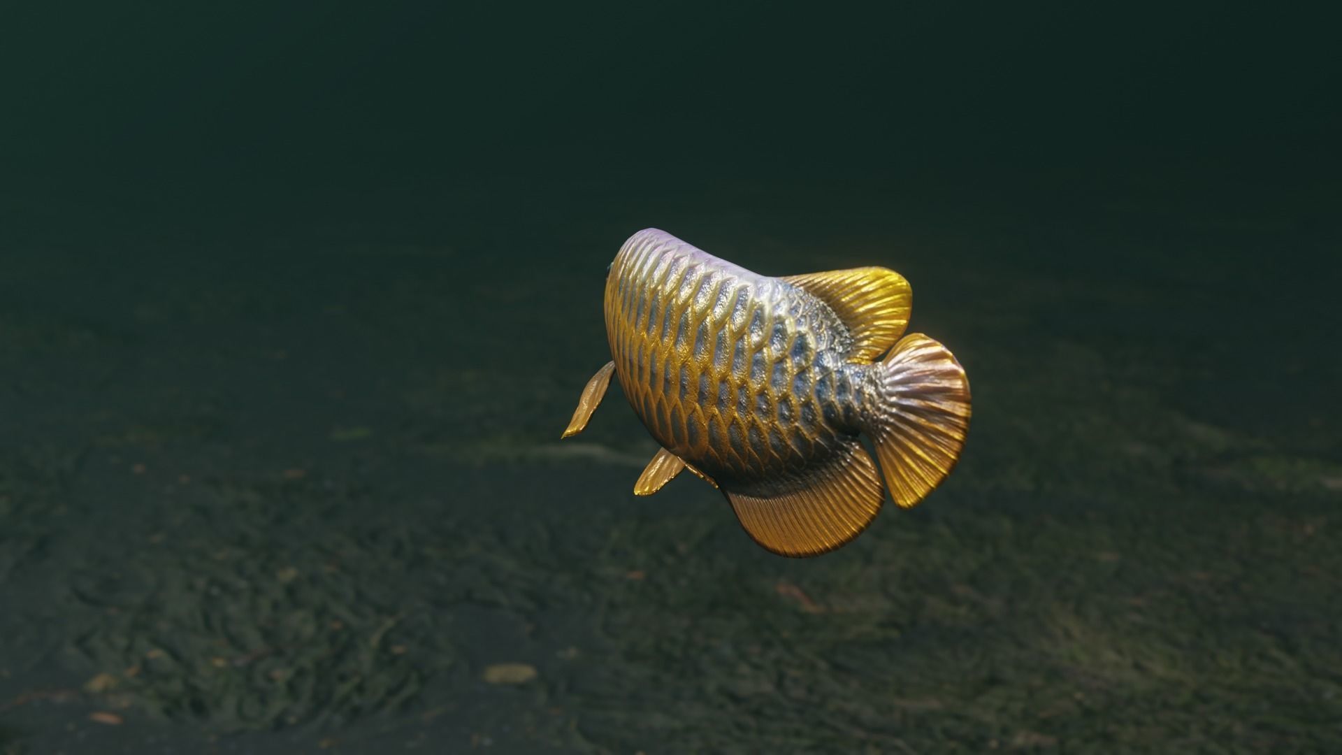Arowana dragon fish Low-poly 3D model_38