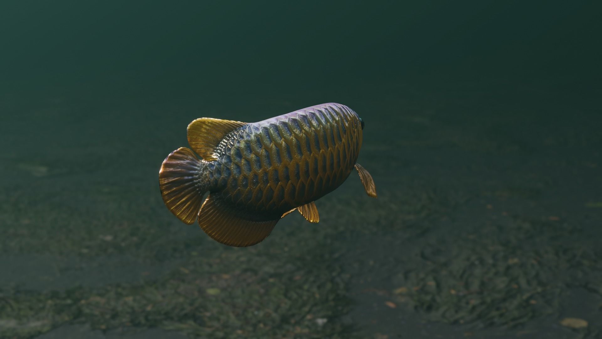 Arowana dragon fish Low-poly 3D model_32