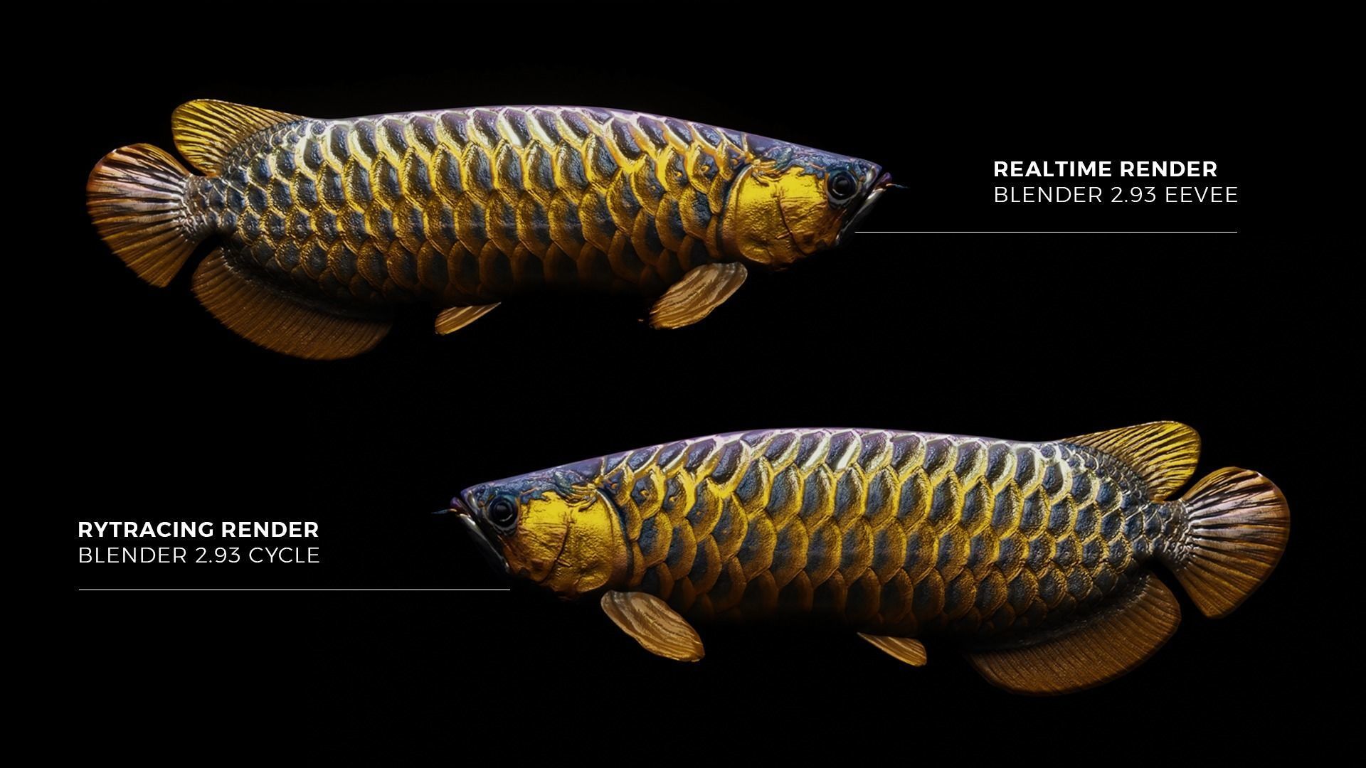 Arowana dragon fish Low-poly 3D model_9