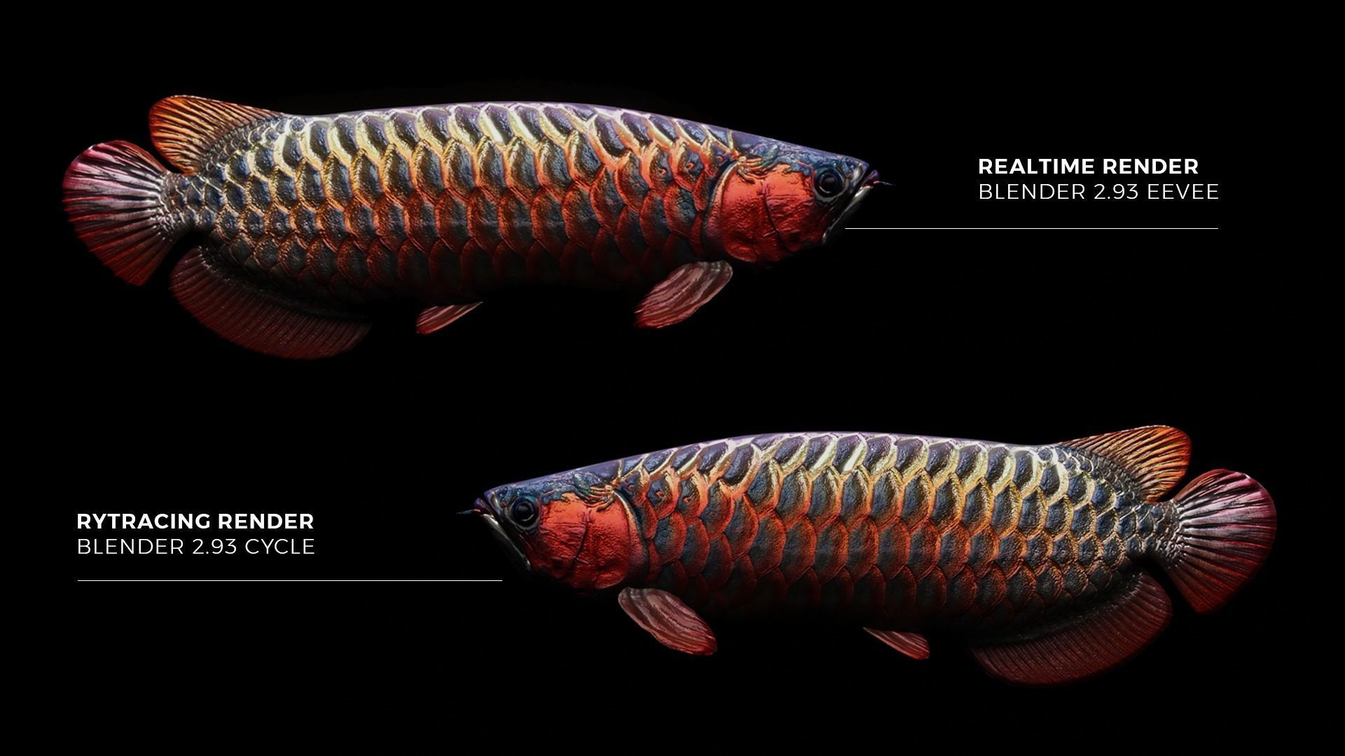 Arowana dragon fish Low-poly 3D model_10