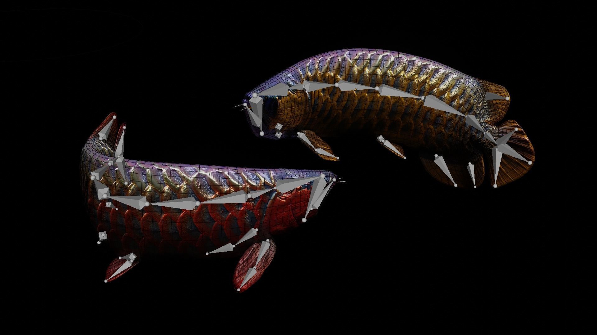 Arowana dragon fish Low-poly 3D model_14