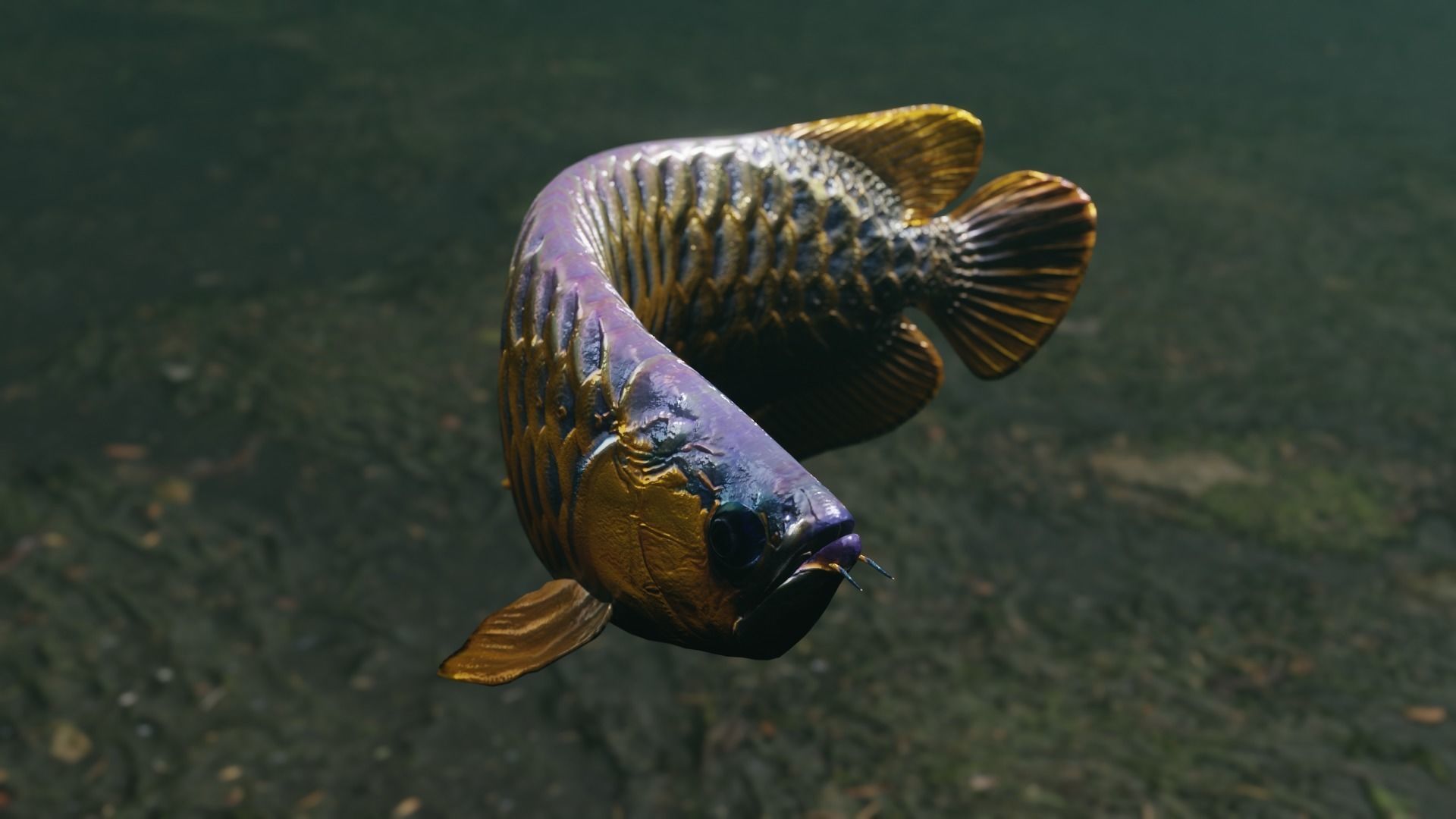 Arowana dragon fish Low-poly 3D model_15