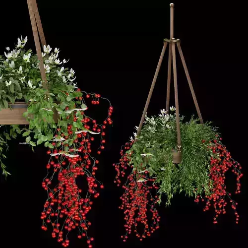 Collection plant vol 82