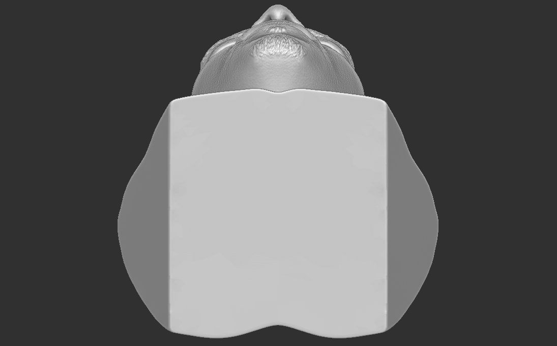 TI rapper bust 3D printing ready stl obj formats 3D print model_22