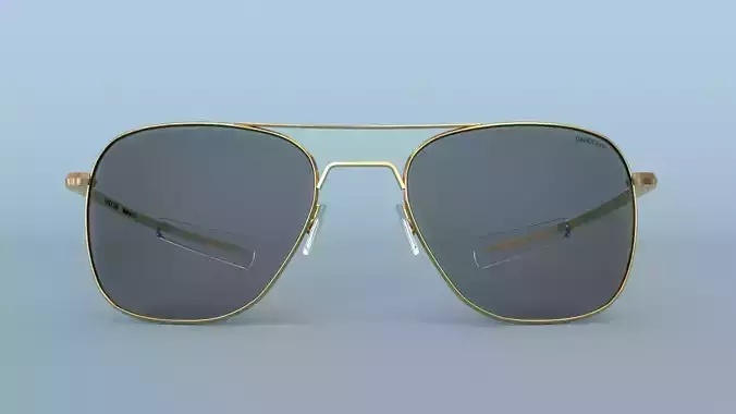 Sunglasses Randolph Aviator Gold Polarized