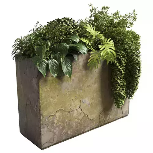 collection outdoor plant 21 concrete old vase bax pot