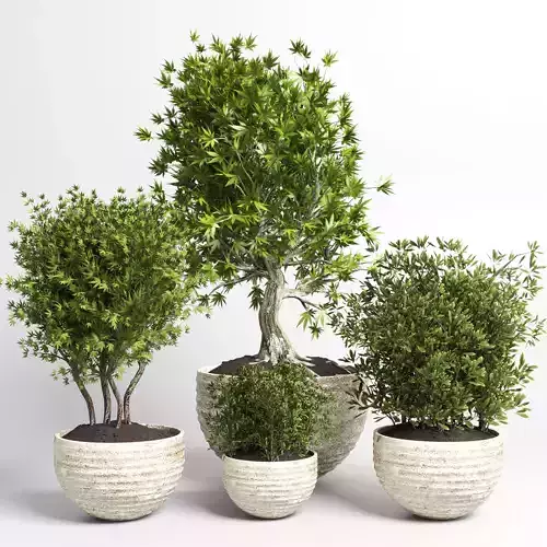 collection outdoor plant 20 -concrete old vase