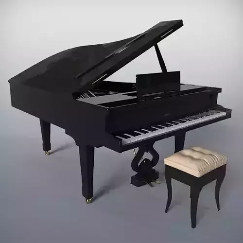 Grand Piano With Piano Bench