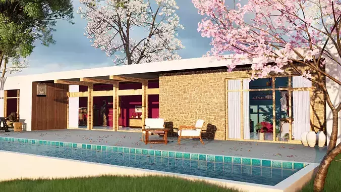 Exterior Modern House  Scene 