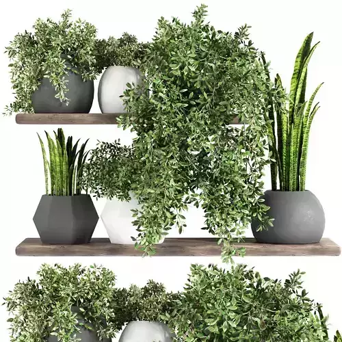 2 fabulous plant shelfies