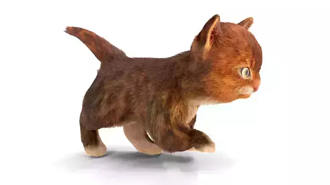 Fur Cute Red Cat Kitten Animated