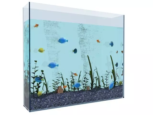 Fish Tank Free 3D model