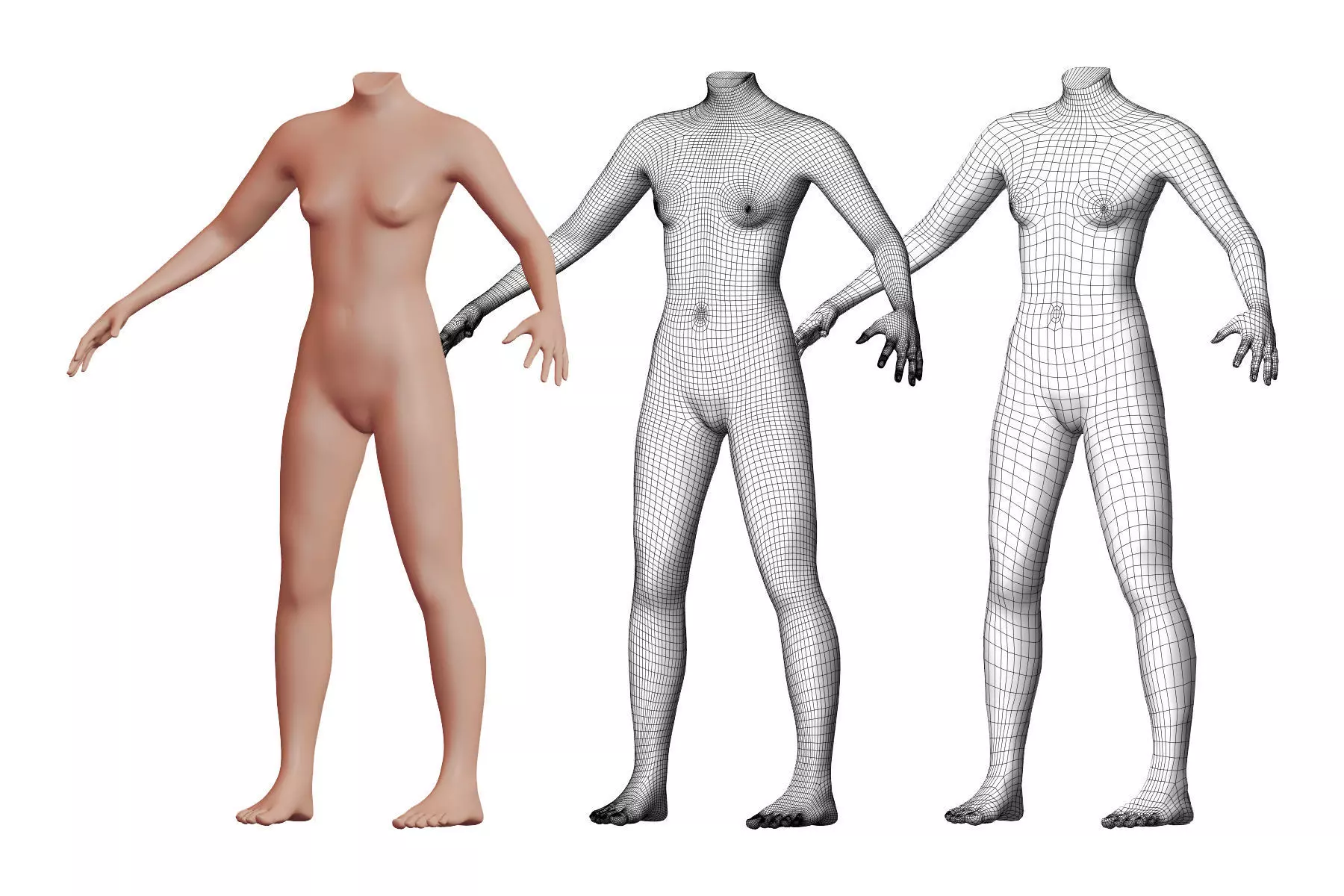 Character 01 High and Low-poly - Body Female 3D model_0