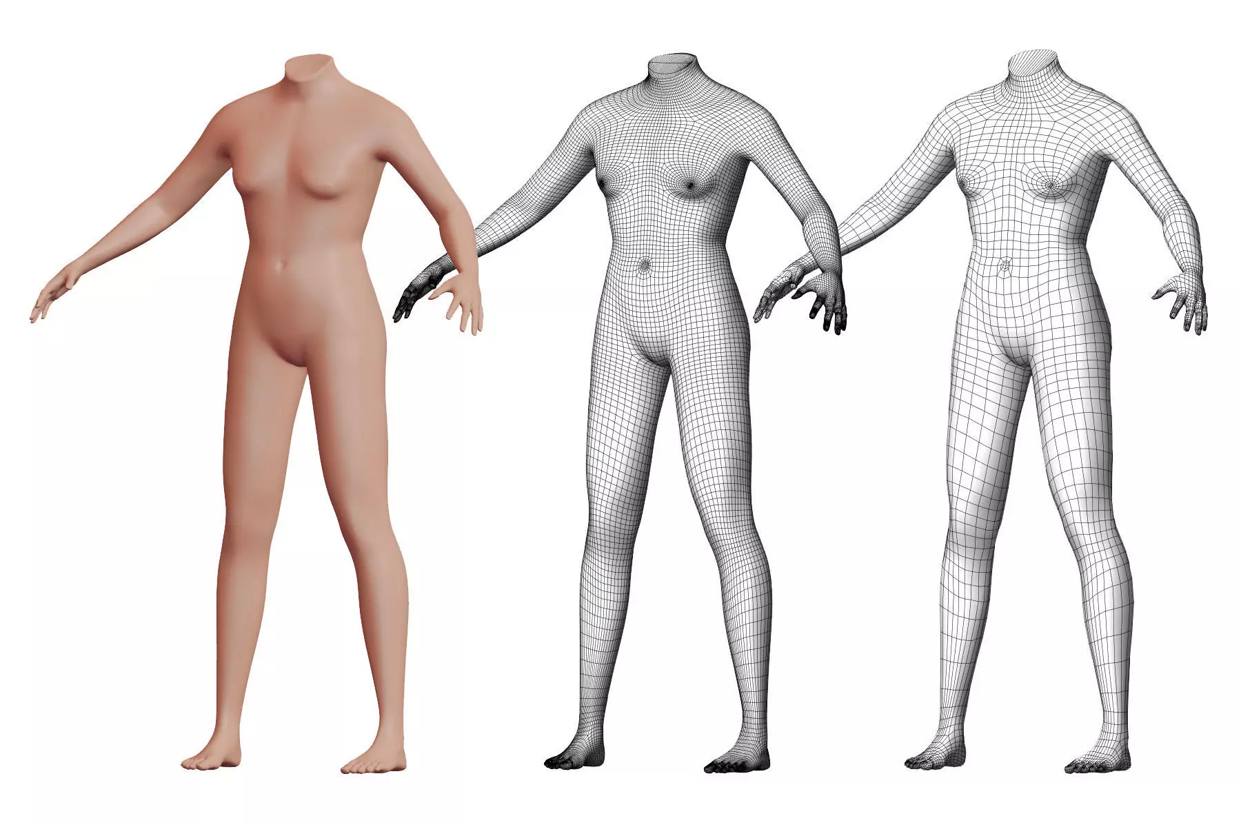 Character 03 High and Low-poly - Body Female 3D model_0