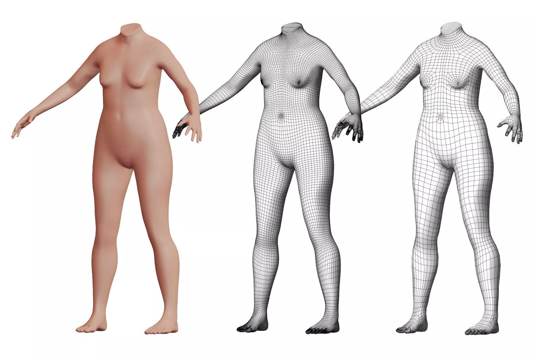 Character 04 High and Low-poly - Body Female 3D model_0