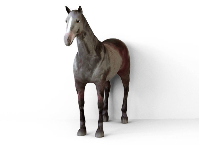 Horses full body Low-poly 3D model_5