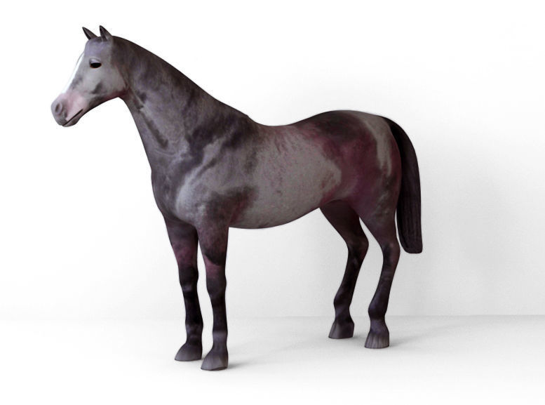 Horses full body Low-poly 3D model_8