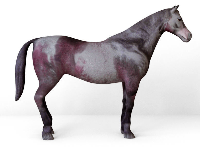 Horses full body Low-poly 3D model_10
