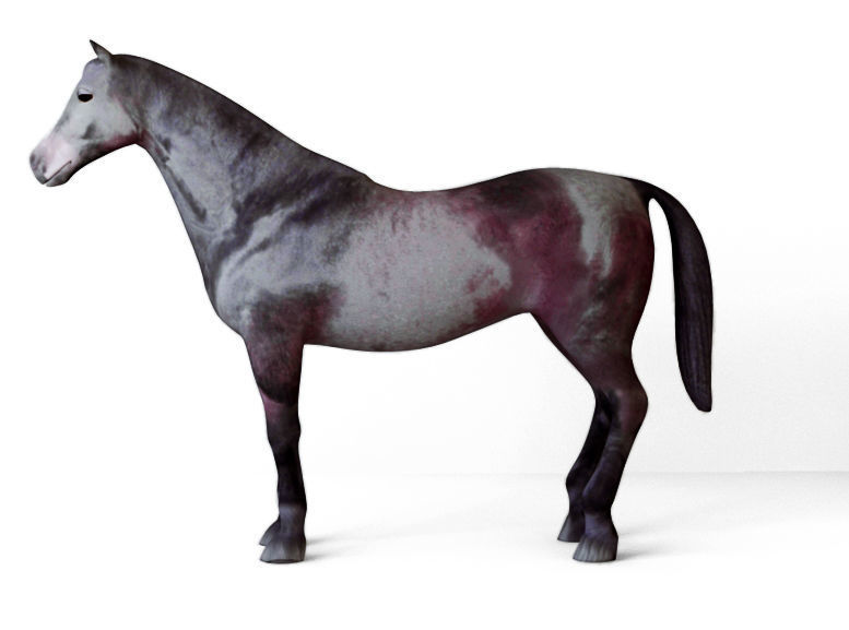 Horses full body Low-poly 3D model_6