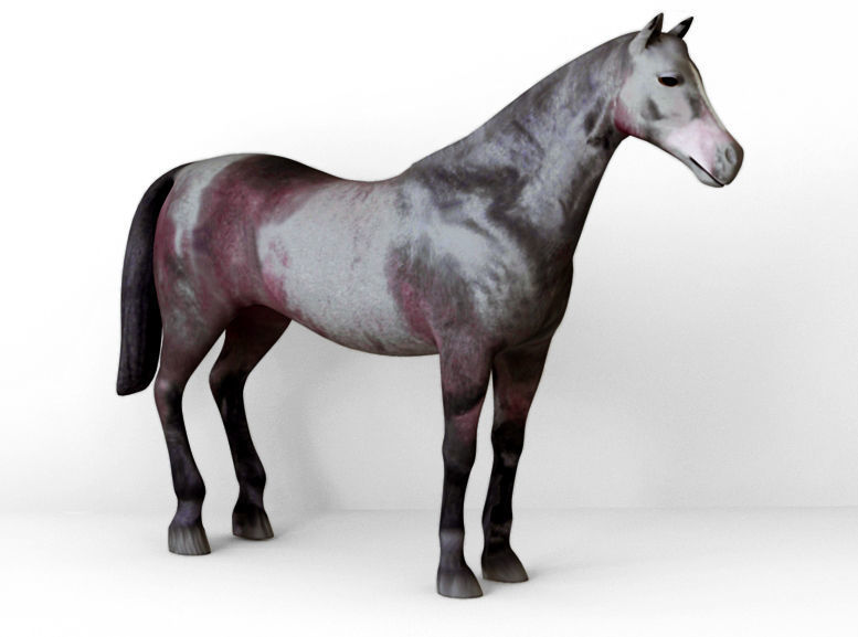 Horses full body Low-poly 3D model_7
