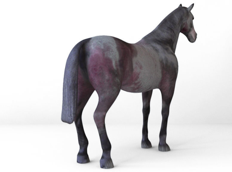 Horses full body Low-poly 3D model_2